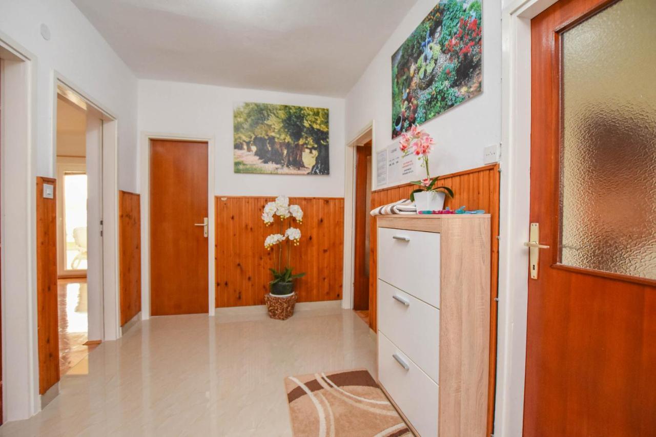 Apartments Dandelion Biograd Na Moru Dış mekan fotoğraf